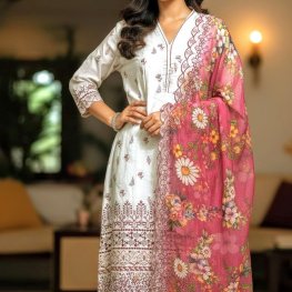 Image of Pakistani Dastan inspired Party Three pieces